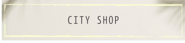 The City Shop