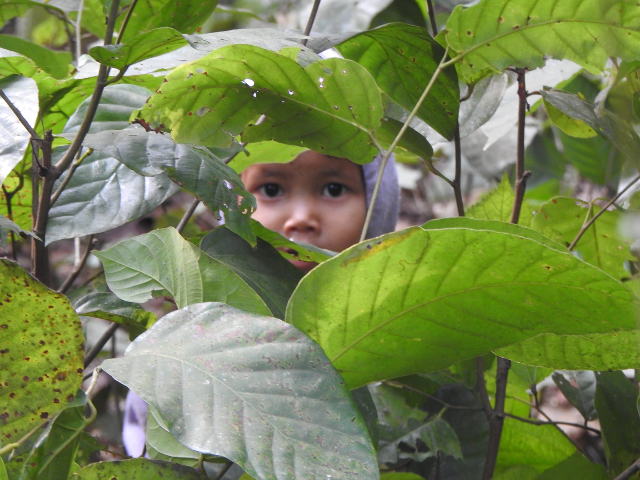 purnima hidden
