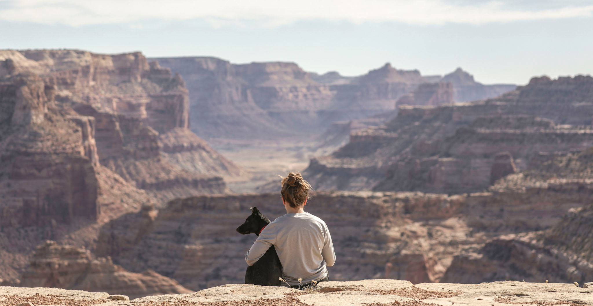 Incidencias / Reclamaciones / Entregas