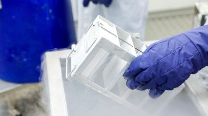 Pharmaceutical Cold Chain Management A Guide Safetyculture