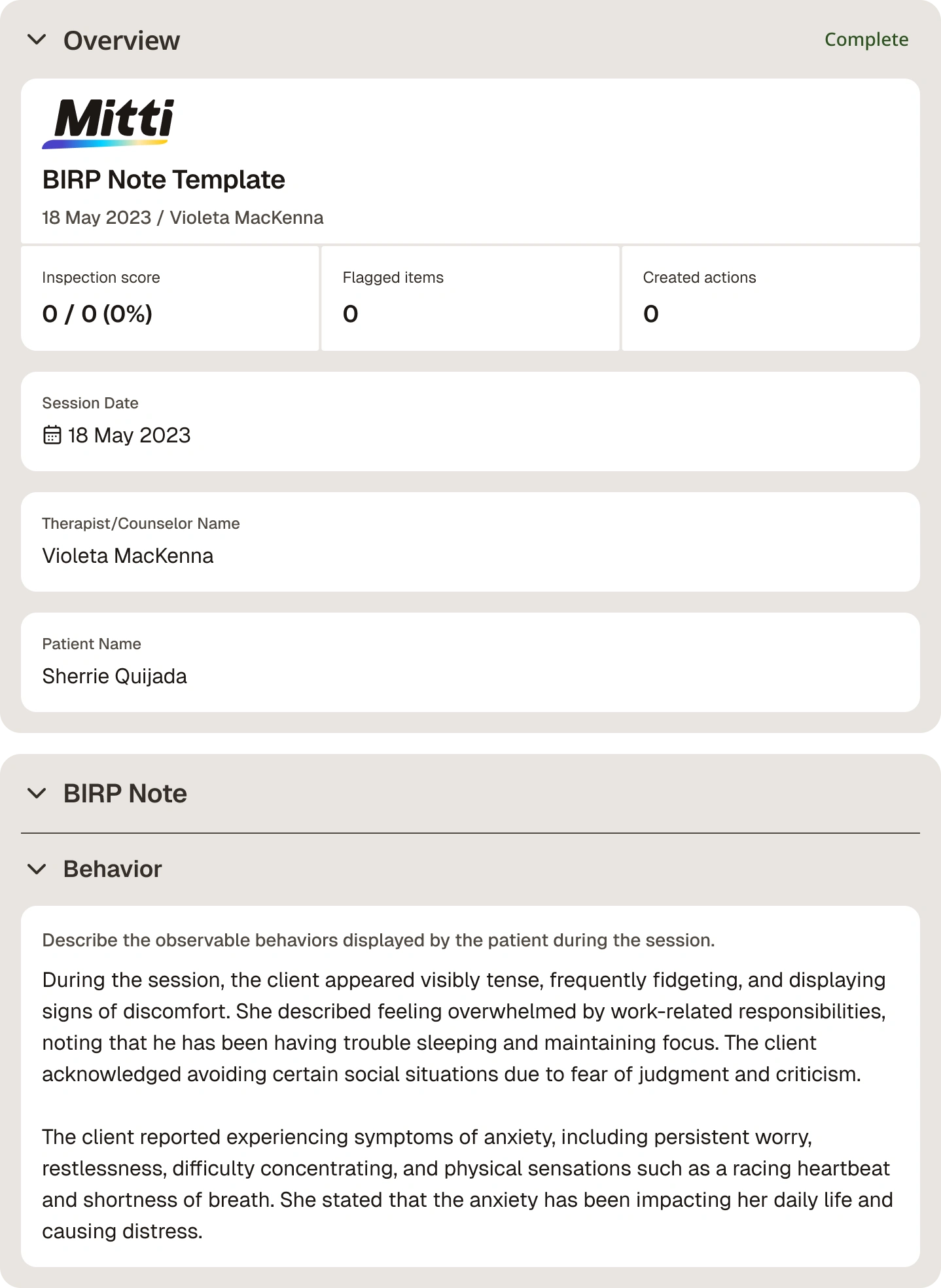 BIRP Notes Template