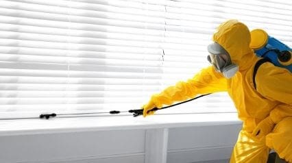 What You Need to Know About Pest Inspection | SafetyCulture