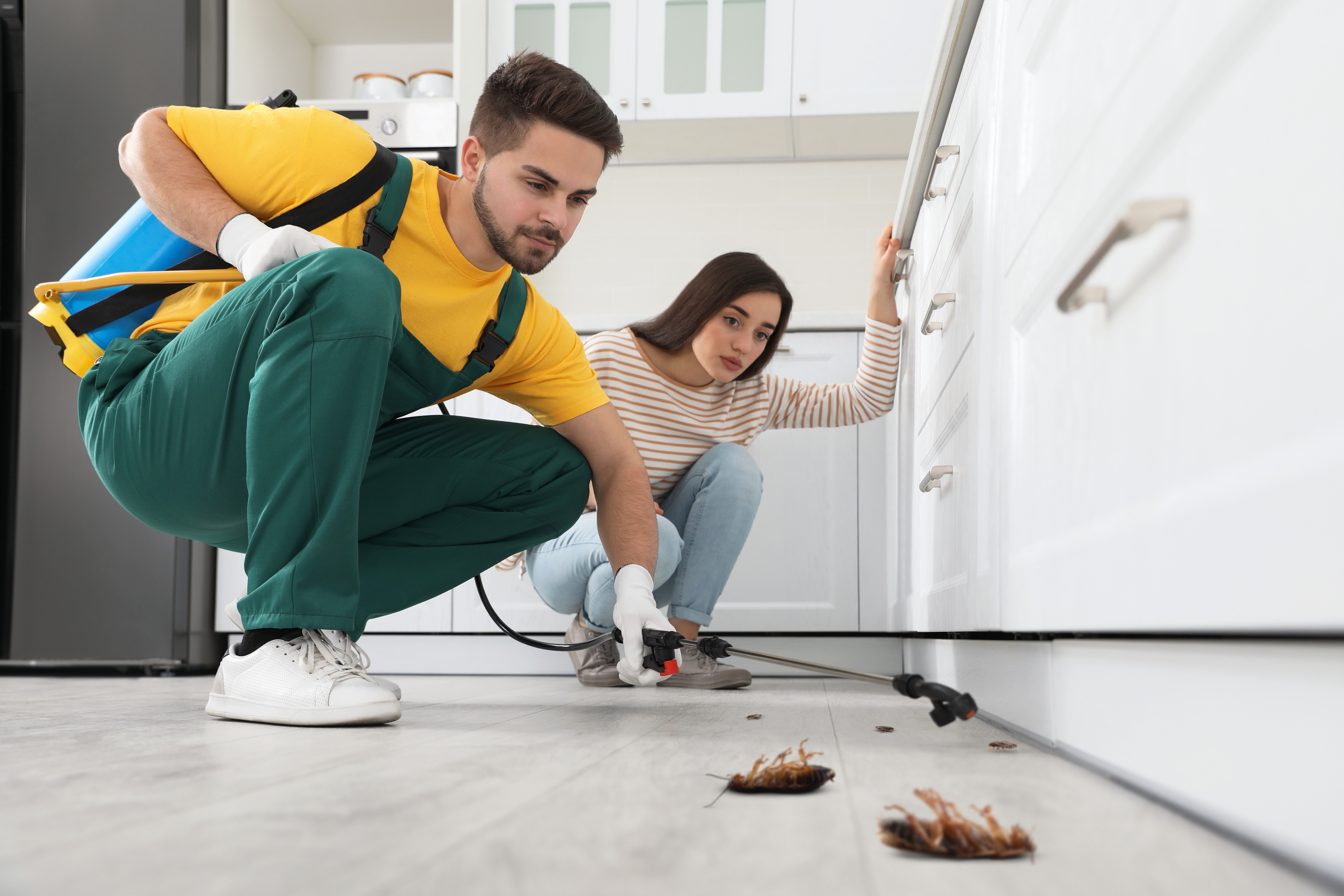 Peninsula kitchen rodent barrier and proofing plan