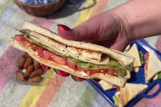 Someone holding a Vegetarian Chicken & Halloumi Sandwich over a colourful picnic blanket.