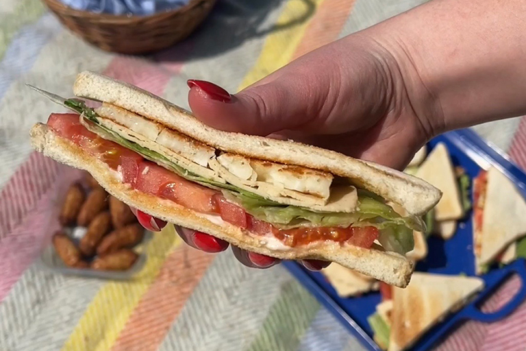 Someone holding a Vegetarian Chicken & Halloumi Sandwich over a colourful picnic blanket.
