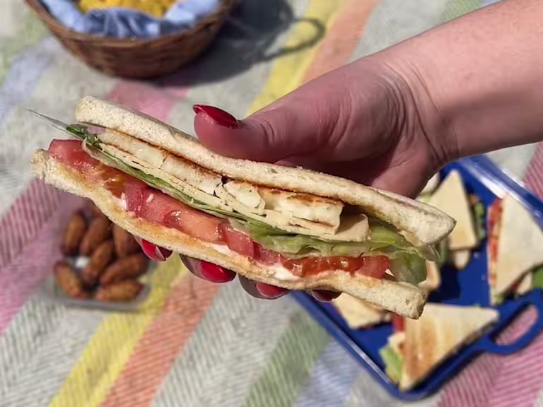 Someone holding a Vegetarian Chicken & Halloumi Sandwich over a colourful picnic blanket.