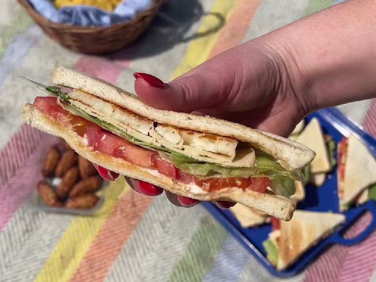 Someone holding a Vegetarian Chicken & Halloumi Sandwich over a colourful picnic blanket.