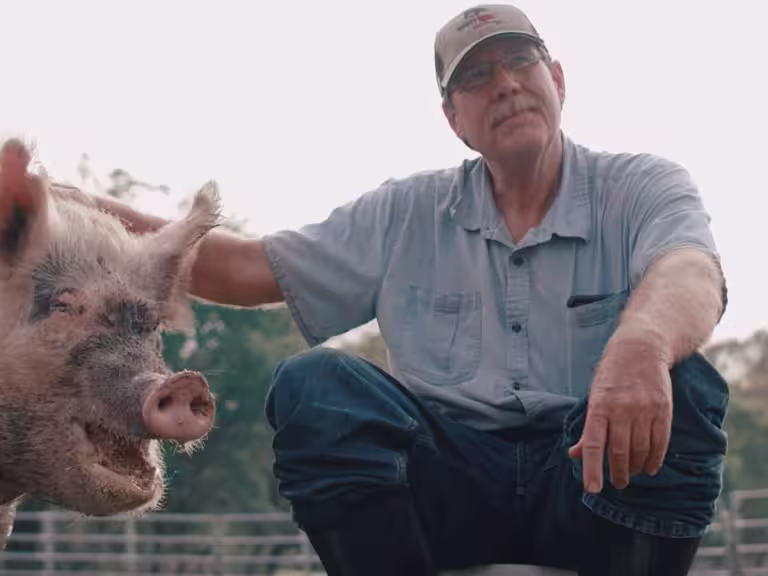 A farmer outdoors crouching next to a pig