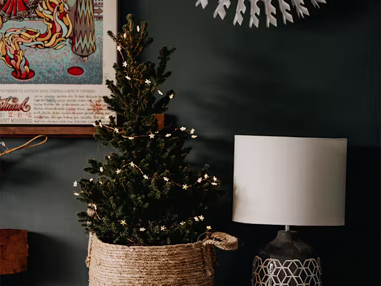 annie-spratt-Nb084fGve0M-unsplash copy