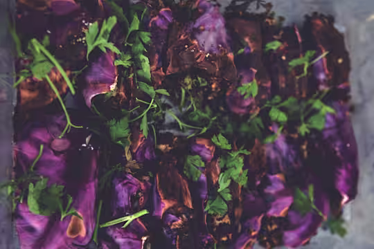 Foodjunkies heta rödkålsrullar med Quorn Färs