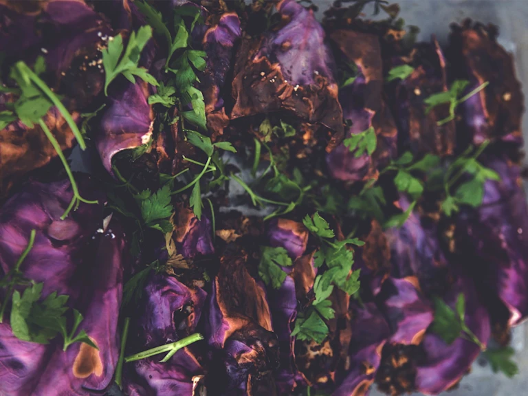 Foodjunkies heta rödkålsrullar med Quorn Färs