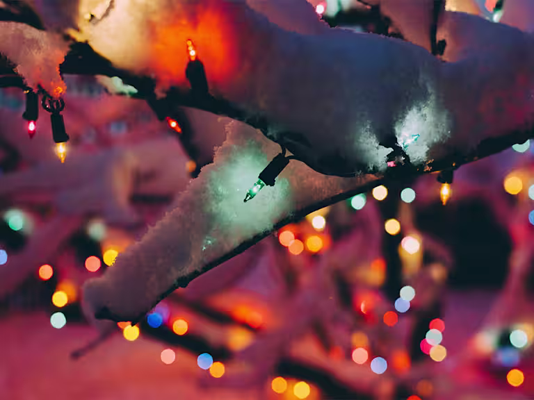 kelly-sikkema-bhqKC3UppQE-unsplash copy