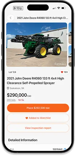See more before you bid - 246x500