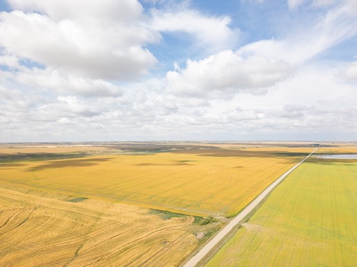 E & C Reimer Farms Ltd Farmland Tender By Auction