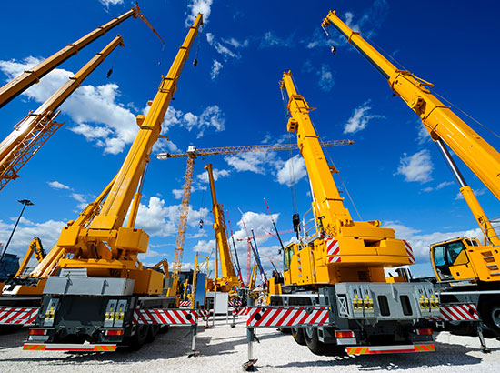 Cranes Cranes