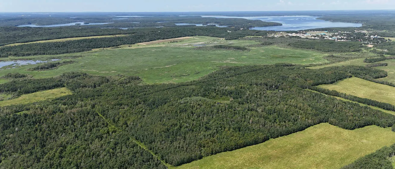 Brinsky Hero Photo 1312x562