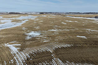 Young Farmland Tender By Auction