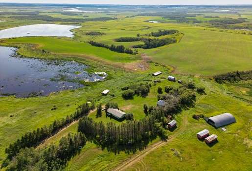 Hoffman Farmland Tender By Auction
