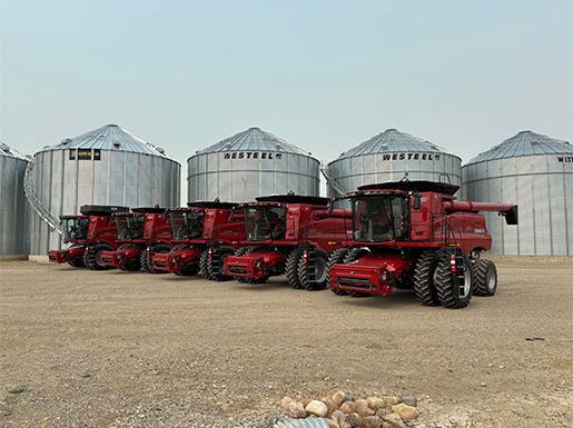 Ram Cattle Feeders Ltd - Michael Janzen