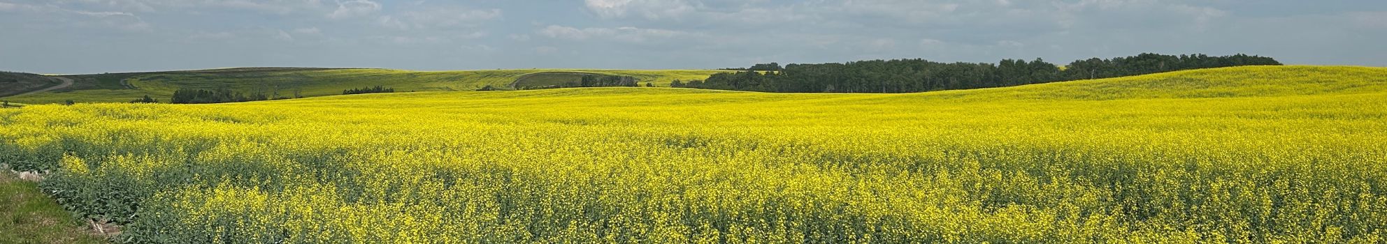 Pusch Organic Farmland Tender By Auction