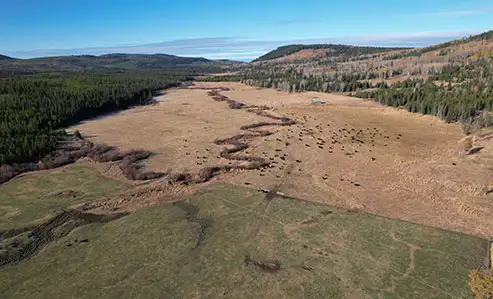 BC Ranches - Red Creek Ranches