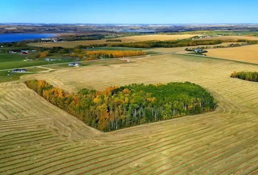 Hemm Farmland Tender By Auction