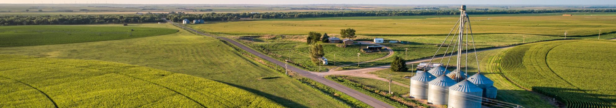 Nowoselski Farmland Tender By Auction