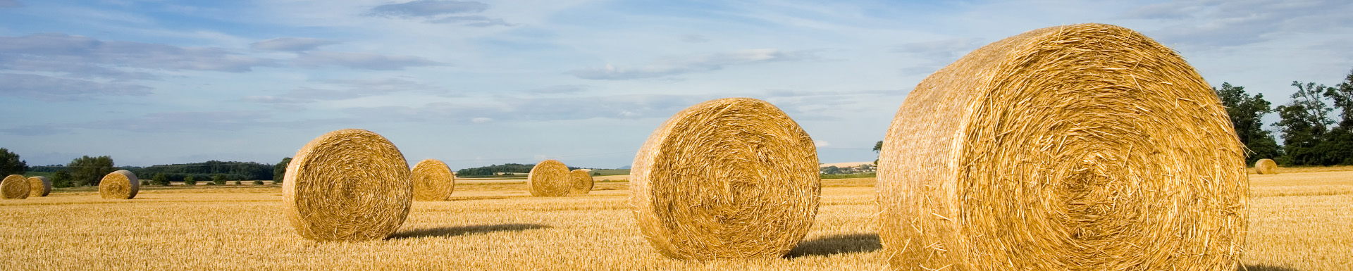 Grenville Farms Ltd