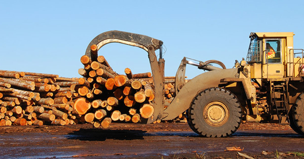 Track Loader Tree Forestry Equipment & Machinery For Sale | Ritchie Bros. Auctioneers