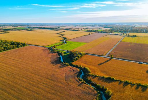 Monette Farms BC Ranches Tender By Auction