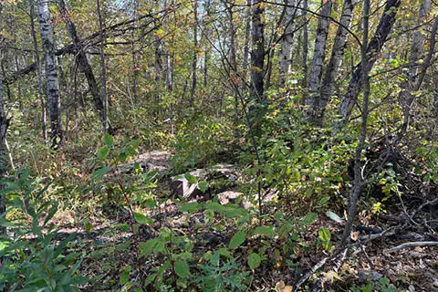 Property Photo Ethelbert