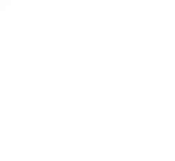 Services - Appraisal Services - Proprietary processes - Experience