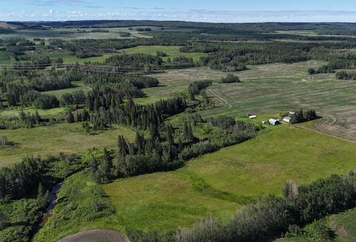 Nowoselski Farmland Tender By Auction