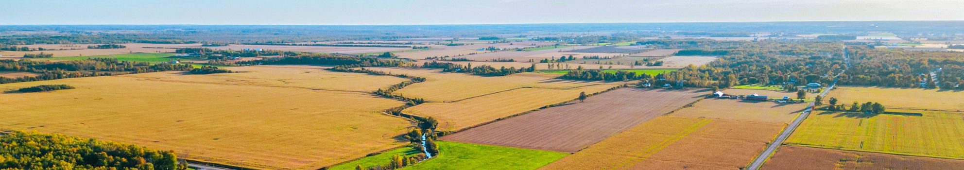 Koshykowski Farmland Tender By Auction