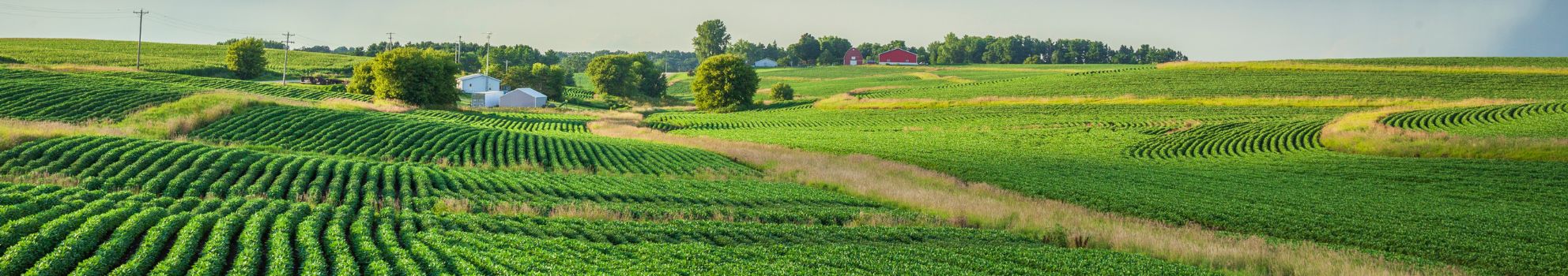 Vanstone Farmland Tender By Auction