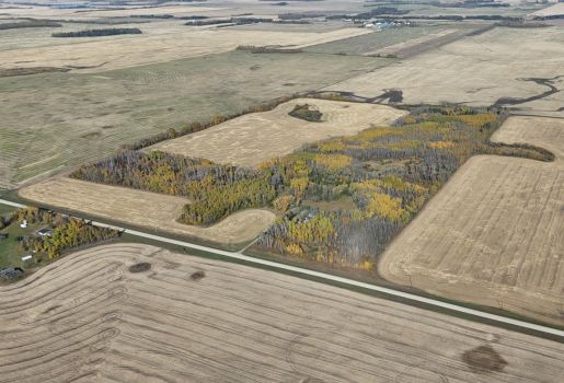 Pusch Organic Farmland Tender By Auction