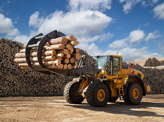 Forestry Forestry