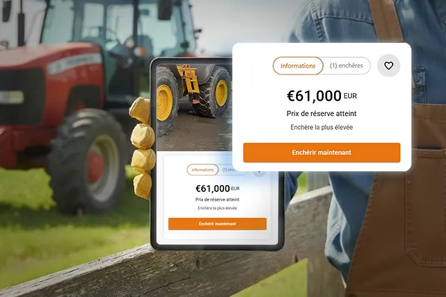 LP BuyersReservedAuction 4373685710 photo3 FRE