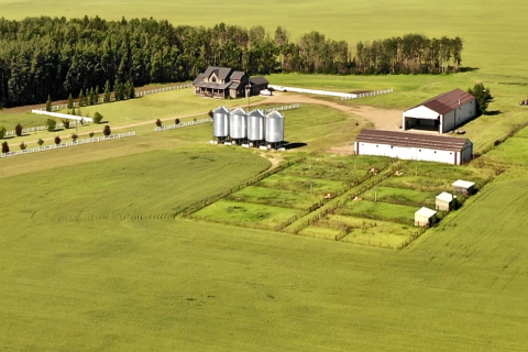 agriculture-background