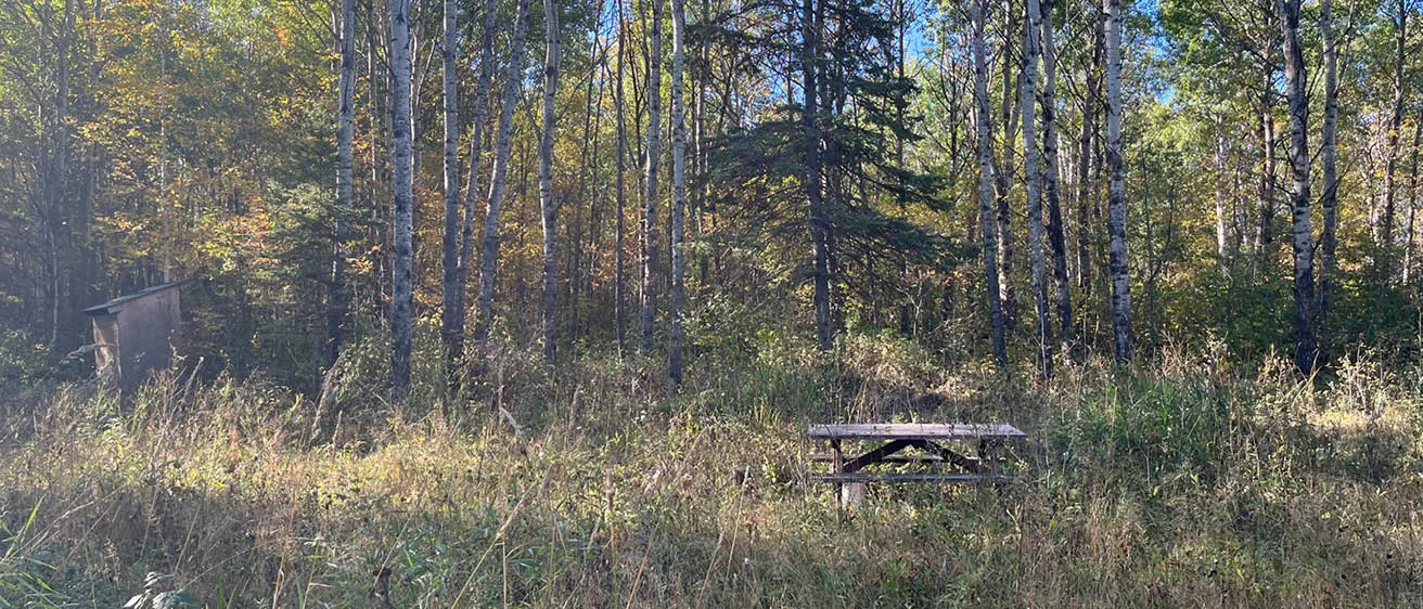 Hero Image Ethelbert