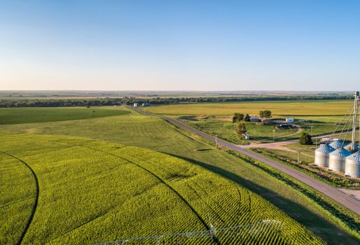 Koshykowski Farmland Tender By Auction