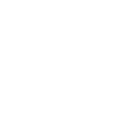 Services - Appraisal Services - Proprietary processes - Data
