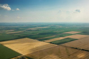 Hemm Farmland Tender By Auction