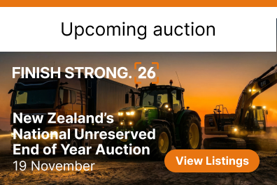 New Zealand's Auction