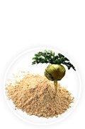 MACA EN POLVO