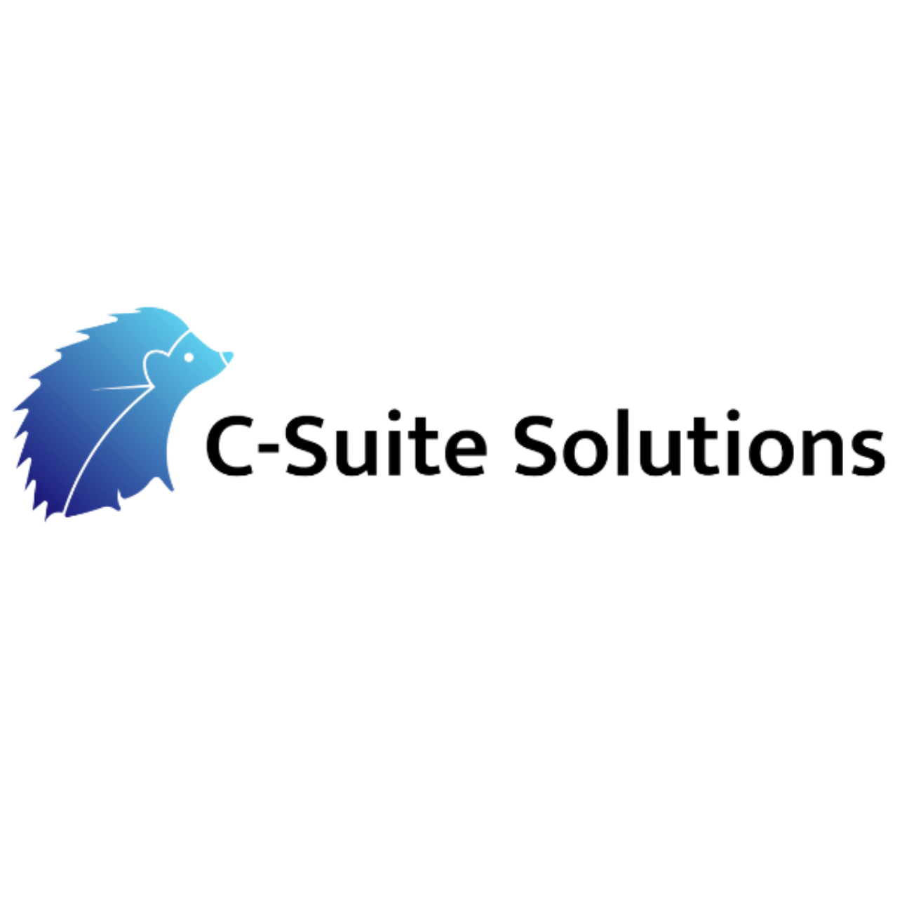 C-Suite Solutions logo