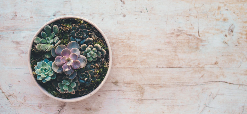 7 Frugal Living Tips To Help You Save Money