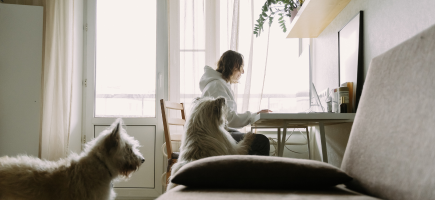 What Credit Score is Needed for a Line of Credit?