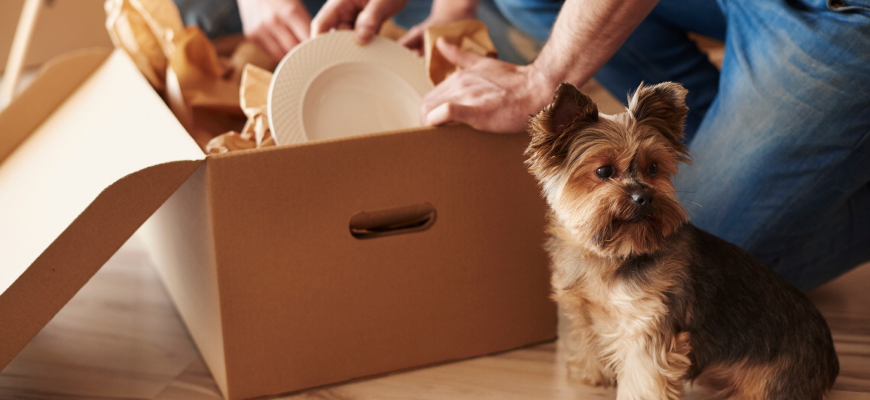 First qualifying withdrawal