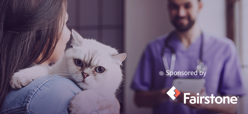 How To Budget For Pet Expenses